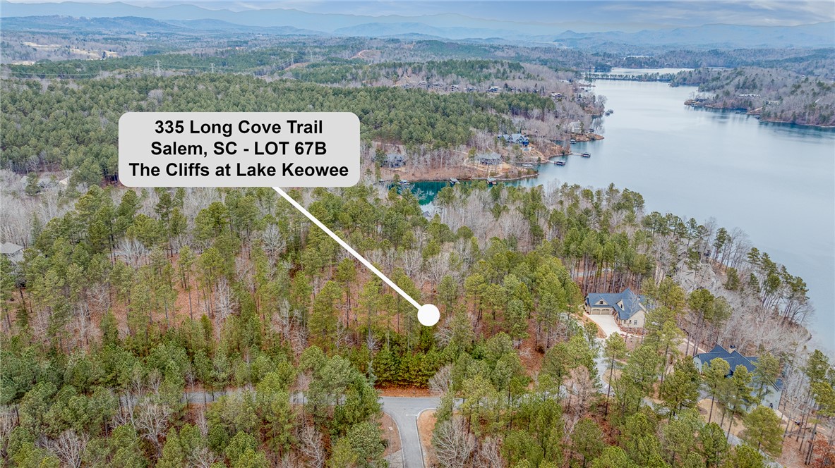 335 Long Cove Trail, Salem, South Carolina image 6