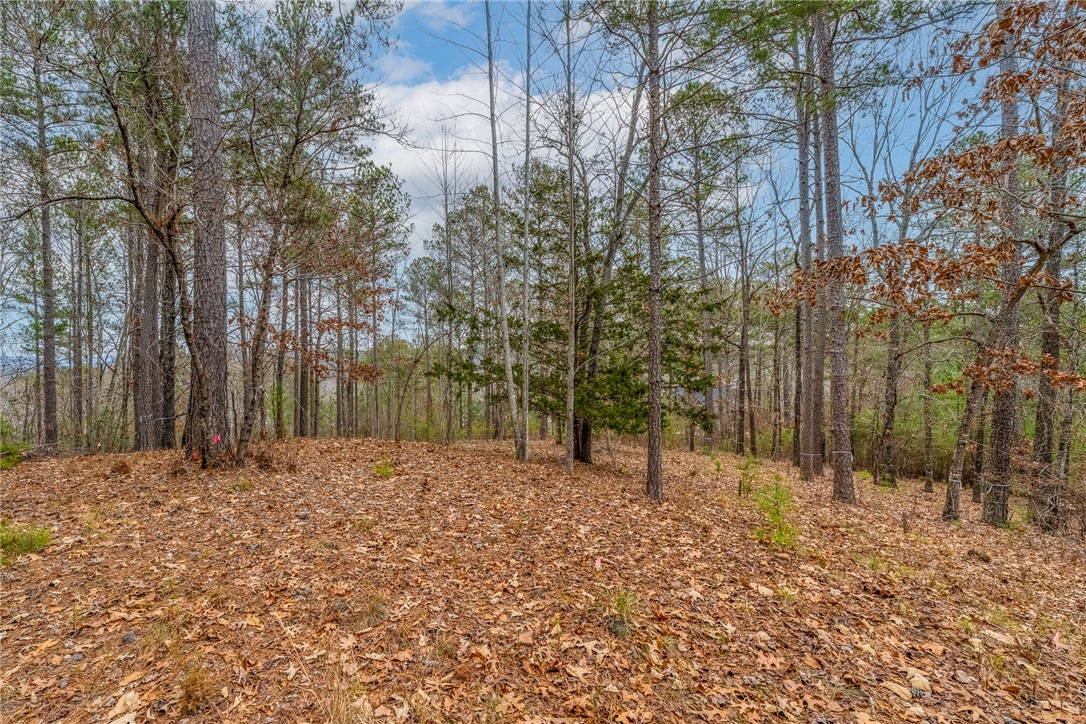335 Long Cove Trail, Salem, South Carolina image 5