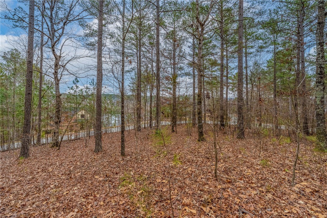 335 Long Cove Trail, Salem, South Carolina image 1