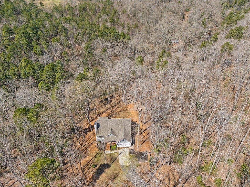 110 Bluebird Lane, Salem, South Carolina image 28