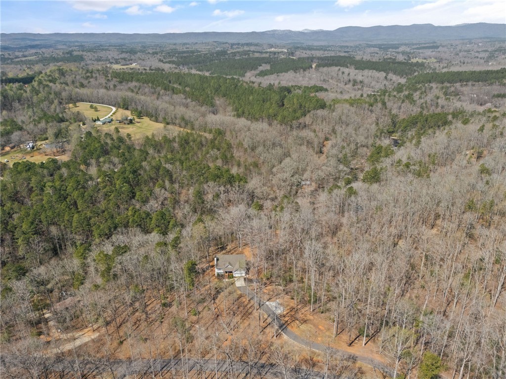 110 Bluebird Lane, Salem, South Carolina image 29