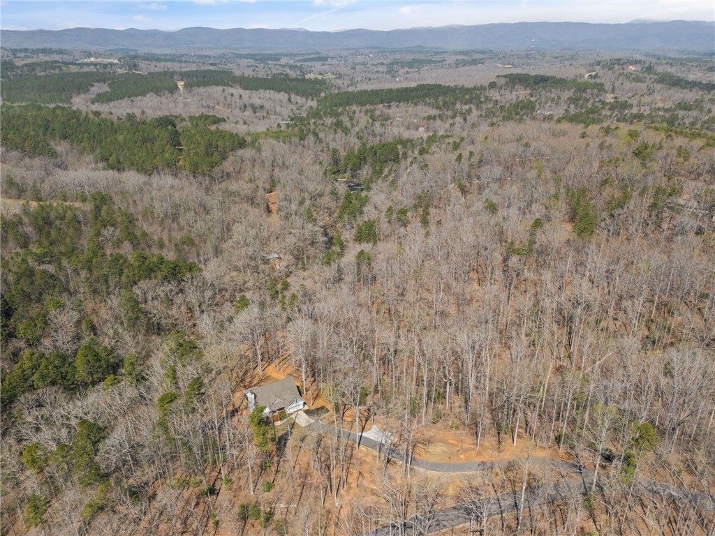 110 Bluebird Lane, Salem, South Carolina image 30