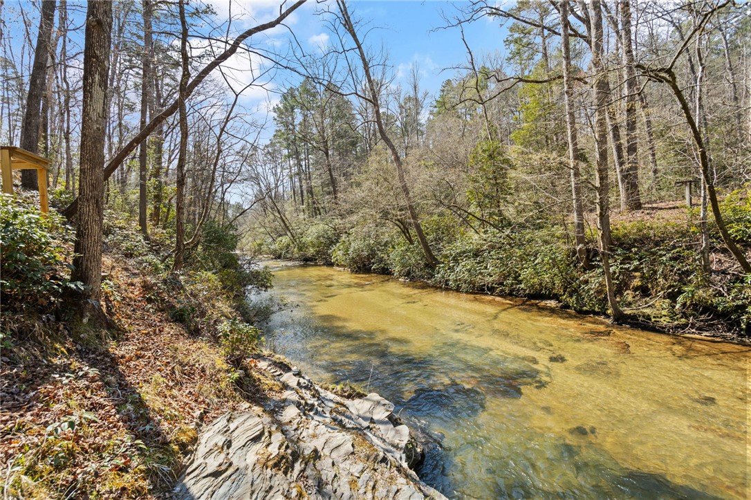 110 Bluebird Lane, Salem, South Carolina image 27