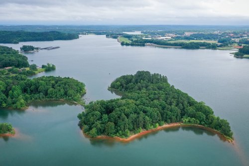 471 Sweetbay Drive #LOT 115, Seneca, South Carolina image 4