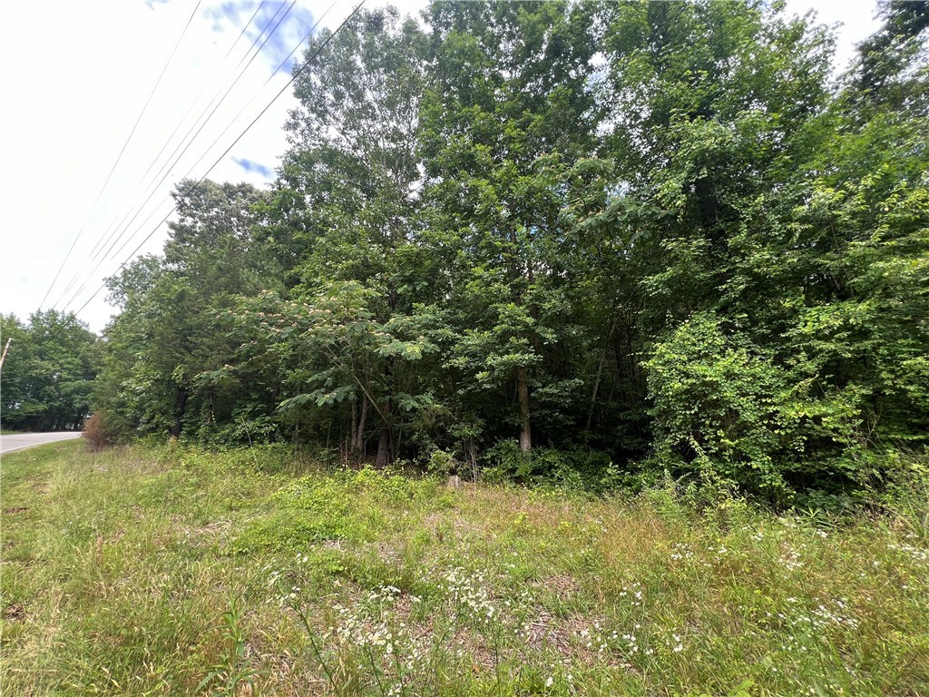 Old Pendleton Road, Easley, South Carolina image 2