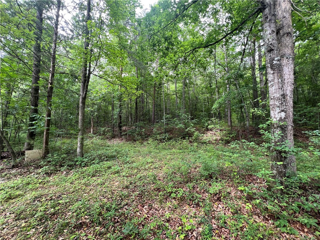Old Pendleton Road, Easley, South Carolina image 6