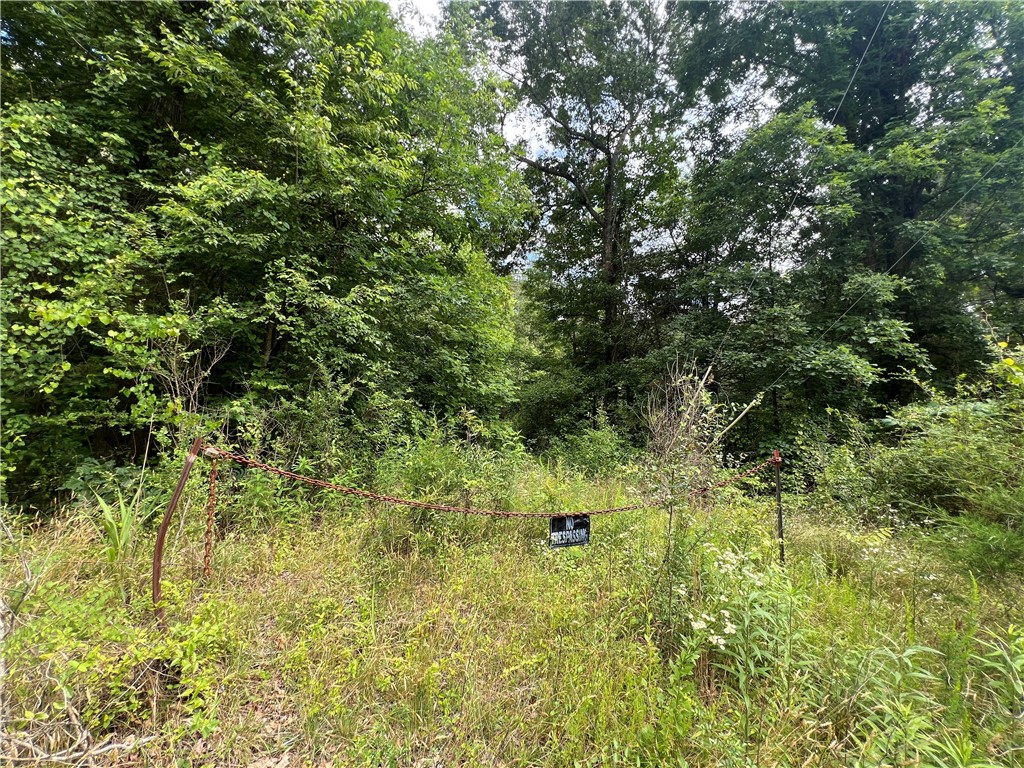 Old Pendleton Road, Easley, South Carolina image 3