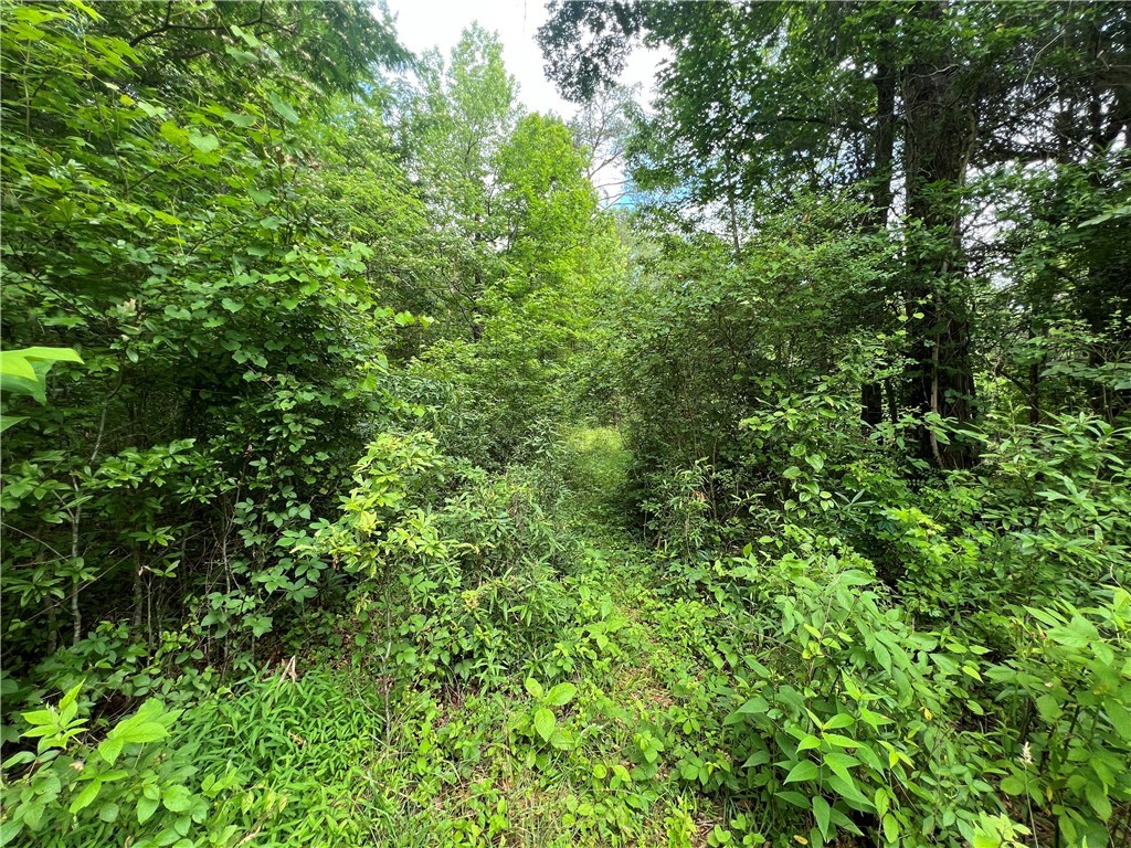 Old Pendleton Road, Easley, South Carolina image 4