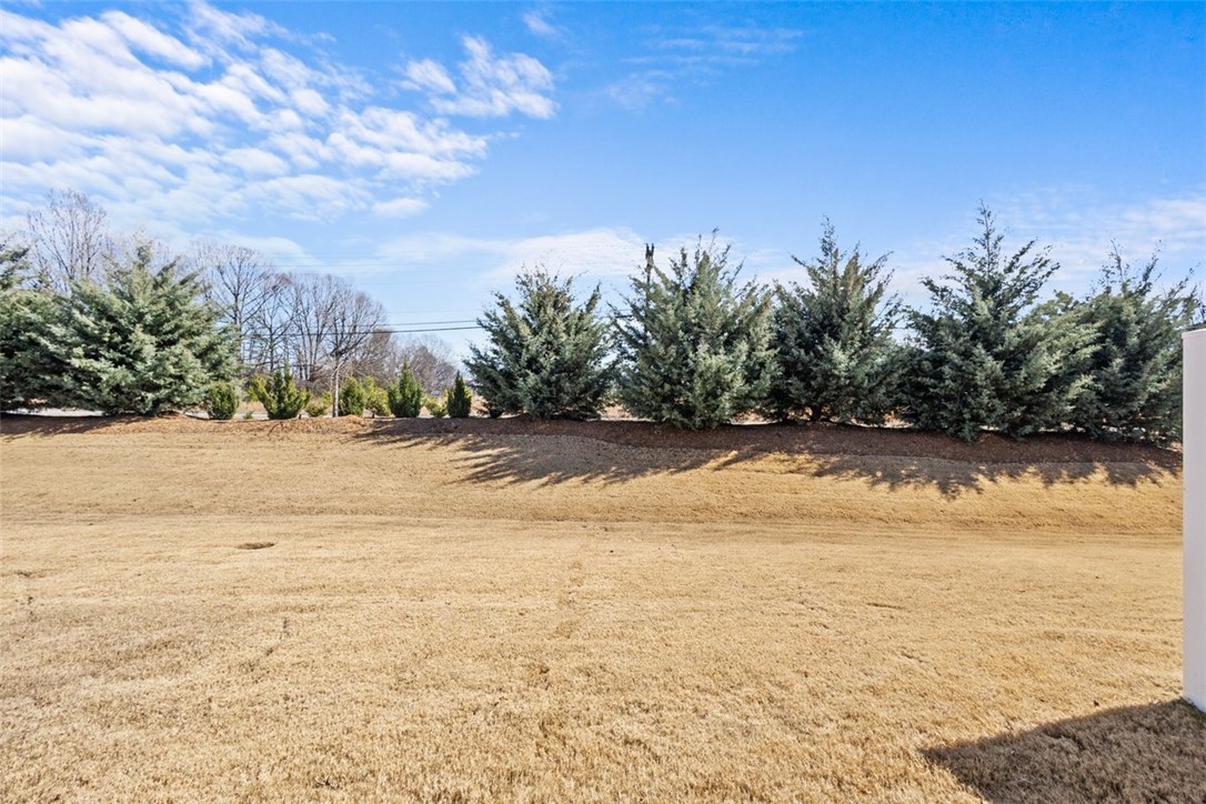 31 Alkanet Way, Greenville, South Carolina image 24