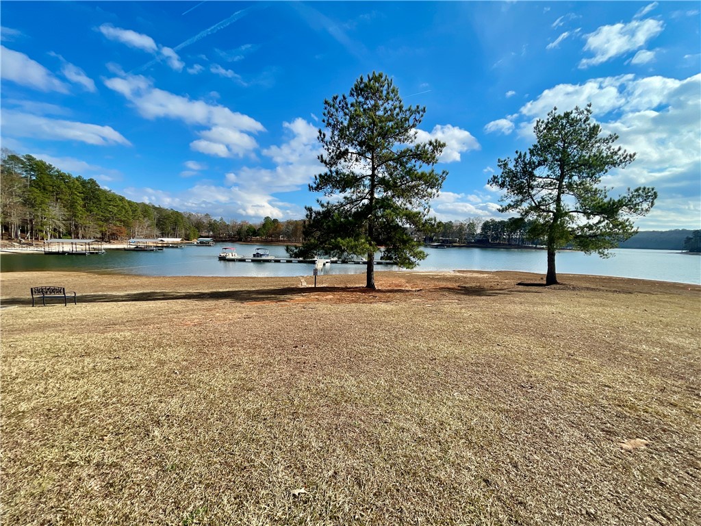 S Fleetwood Lane, Fair Play, South Carolina image 20