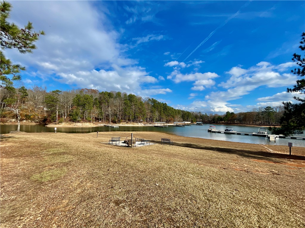 S Fleetwood Lane, Fair Play, South Carolina image 21