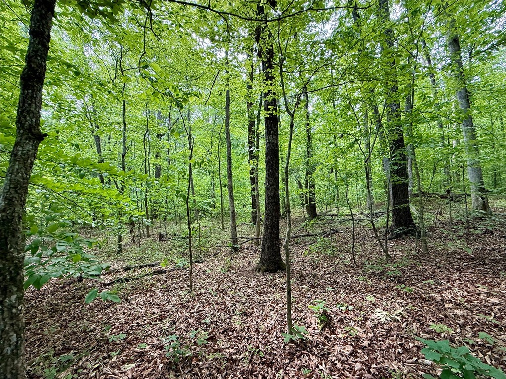 128 Sweetbriar Trail, Westminster, South Carolina image 8