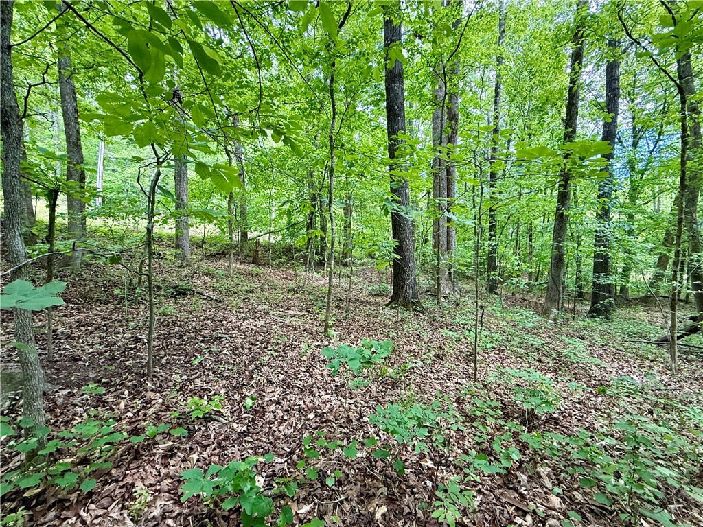 128 Sweetbriar Trail, Westminster, South Carolina image 14