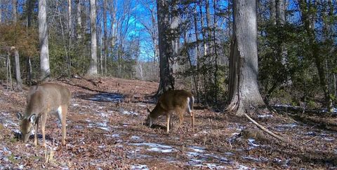 Vacant Land For Sale - LOT 4 Pickens Drive<br/> Pendleton, SC 29670
