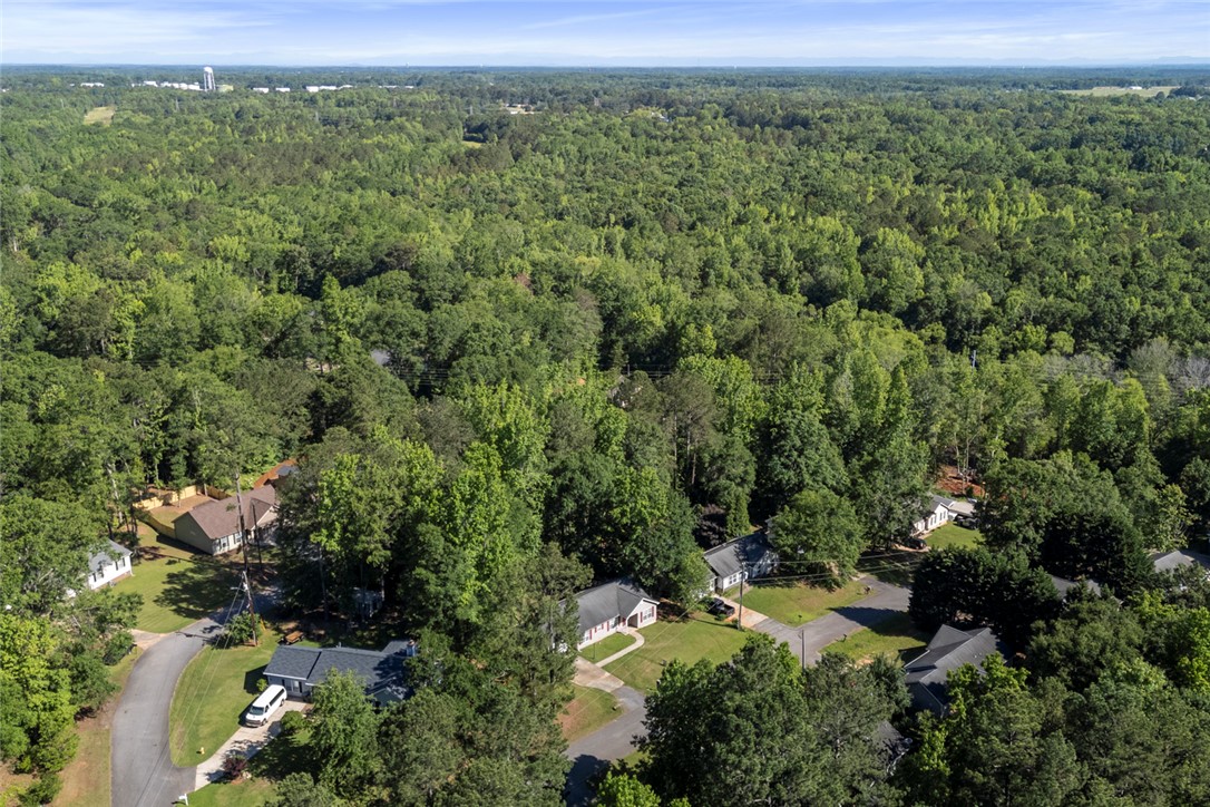 103 Berry Court, Belton, South Carolina image 49