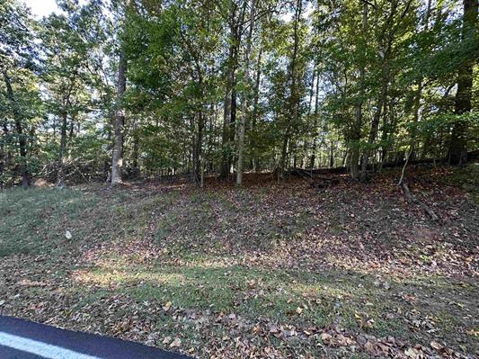 903 South Hogan Drive Road, Westminster, South Carolina image 1