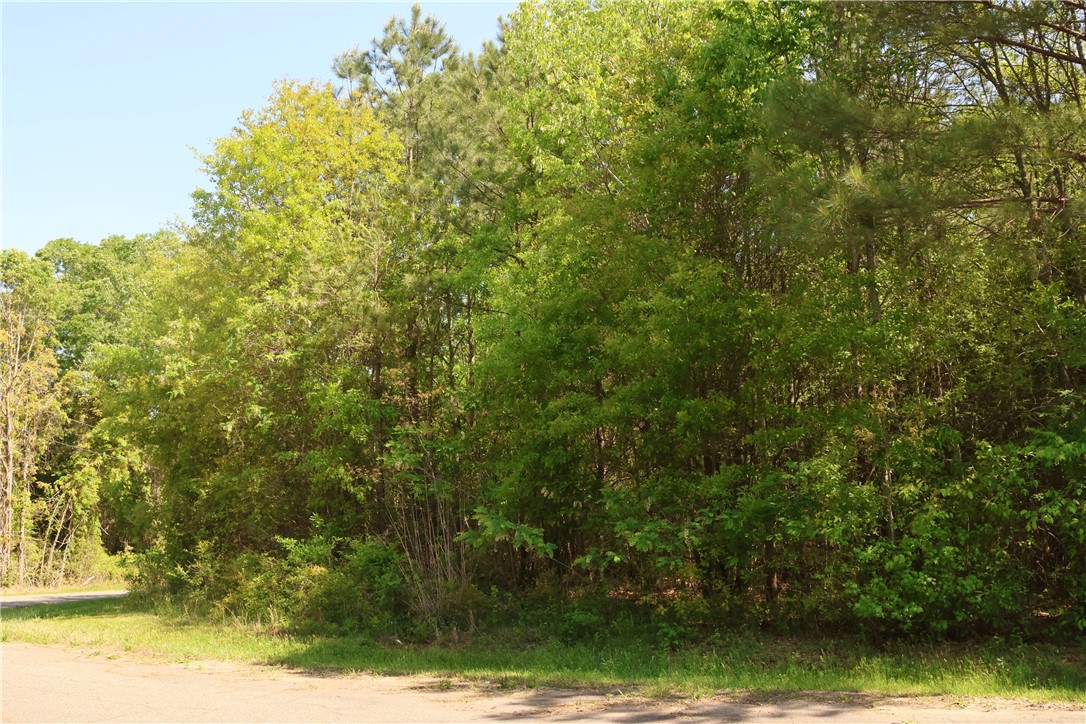 Trump Pointe, Anderson, South Carolina image 7