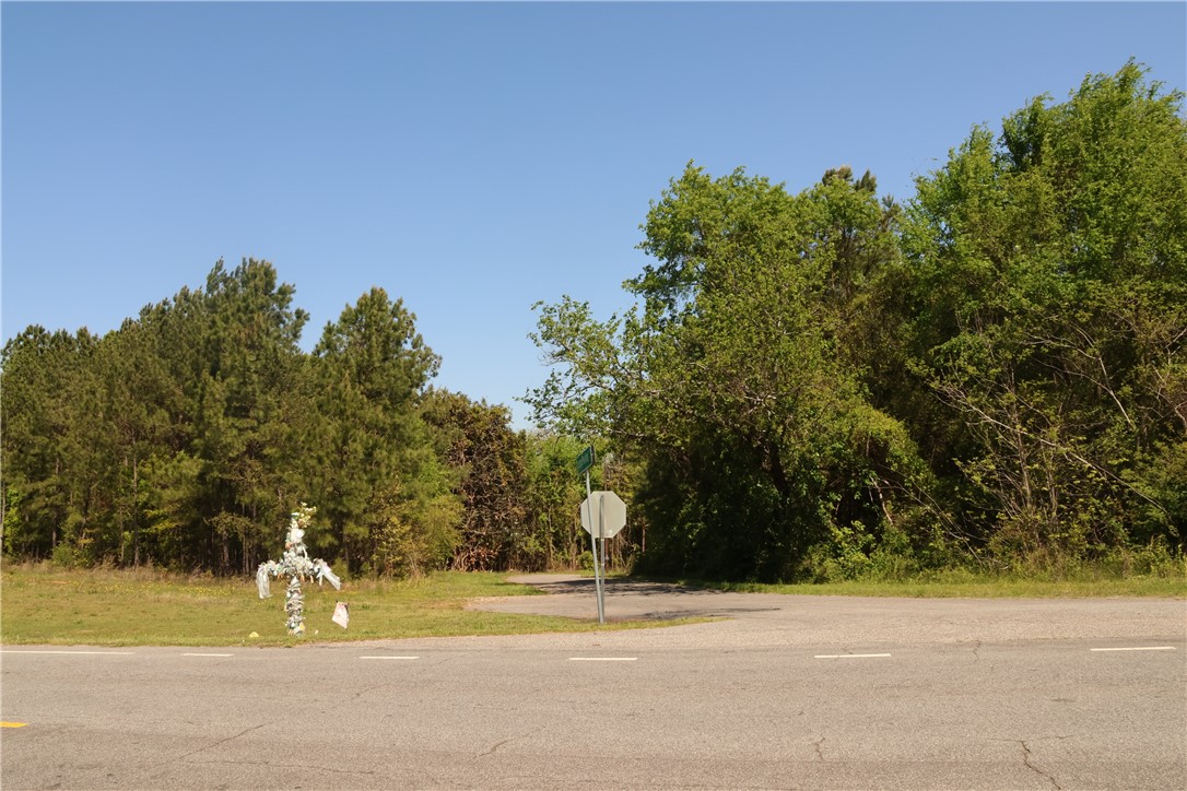 Trump Pointe, Anderson, South Carolina image 4