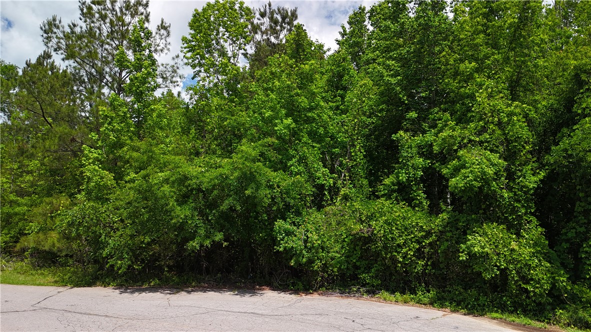109 Pepper Drive, Belton, South Carolina image 6