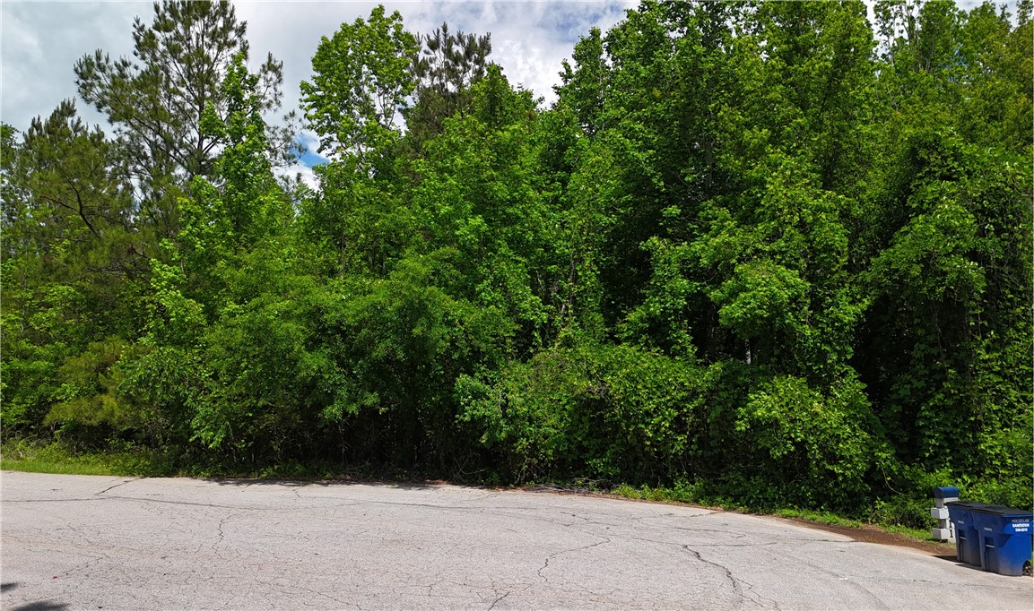109 Pepper Drive, Belton, South Carolina image 7