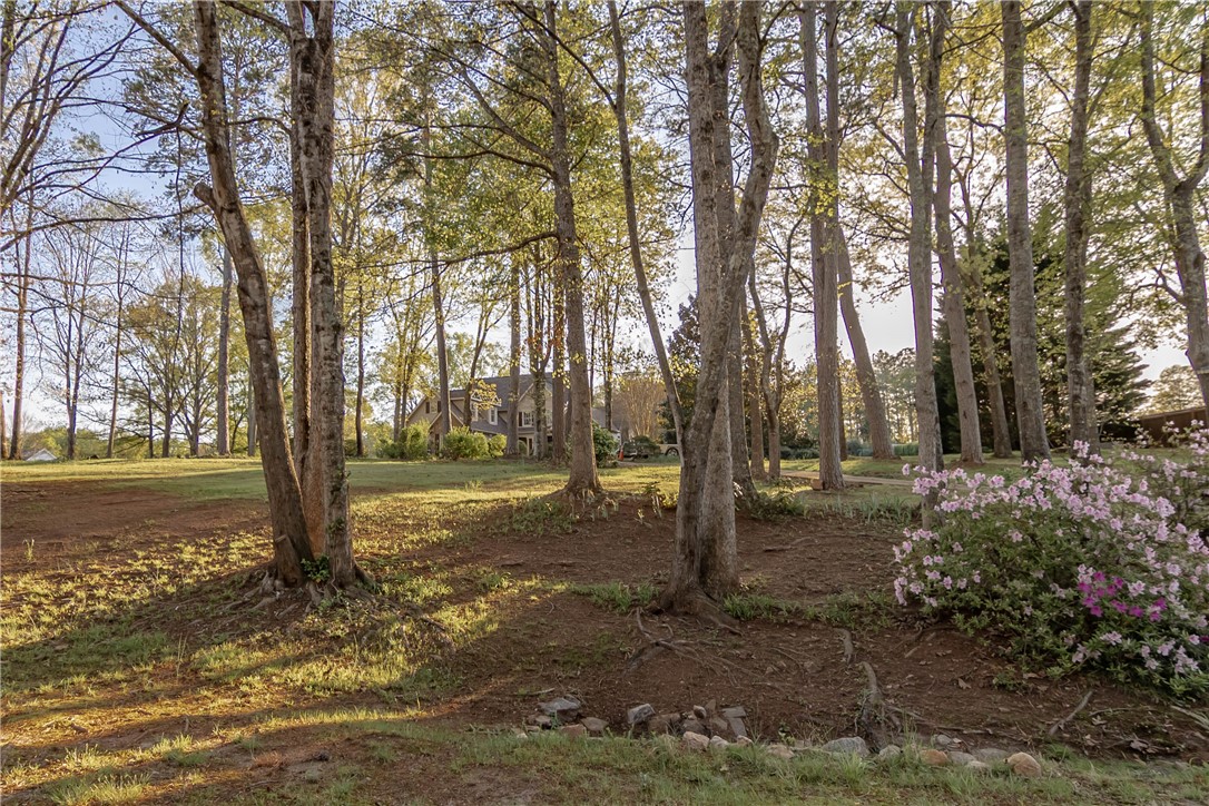 104 Bellewood Drive, Easley, South Carolina image 42