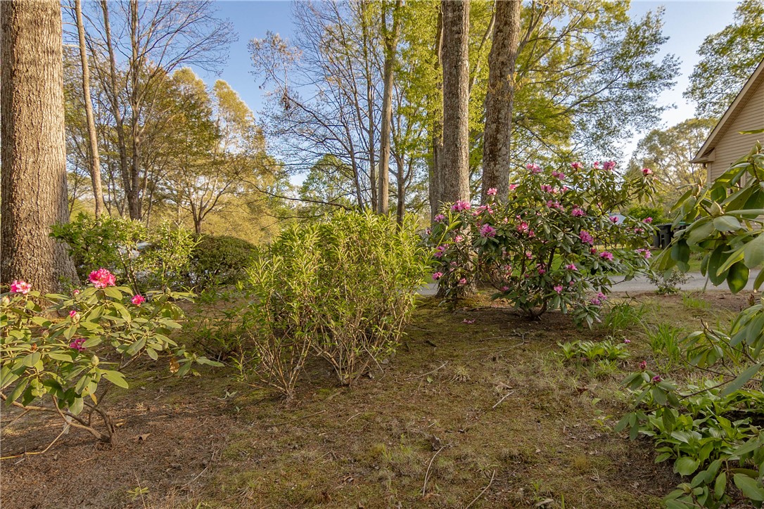 104 Bellewood Drive, Easley, South Carolina image 43