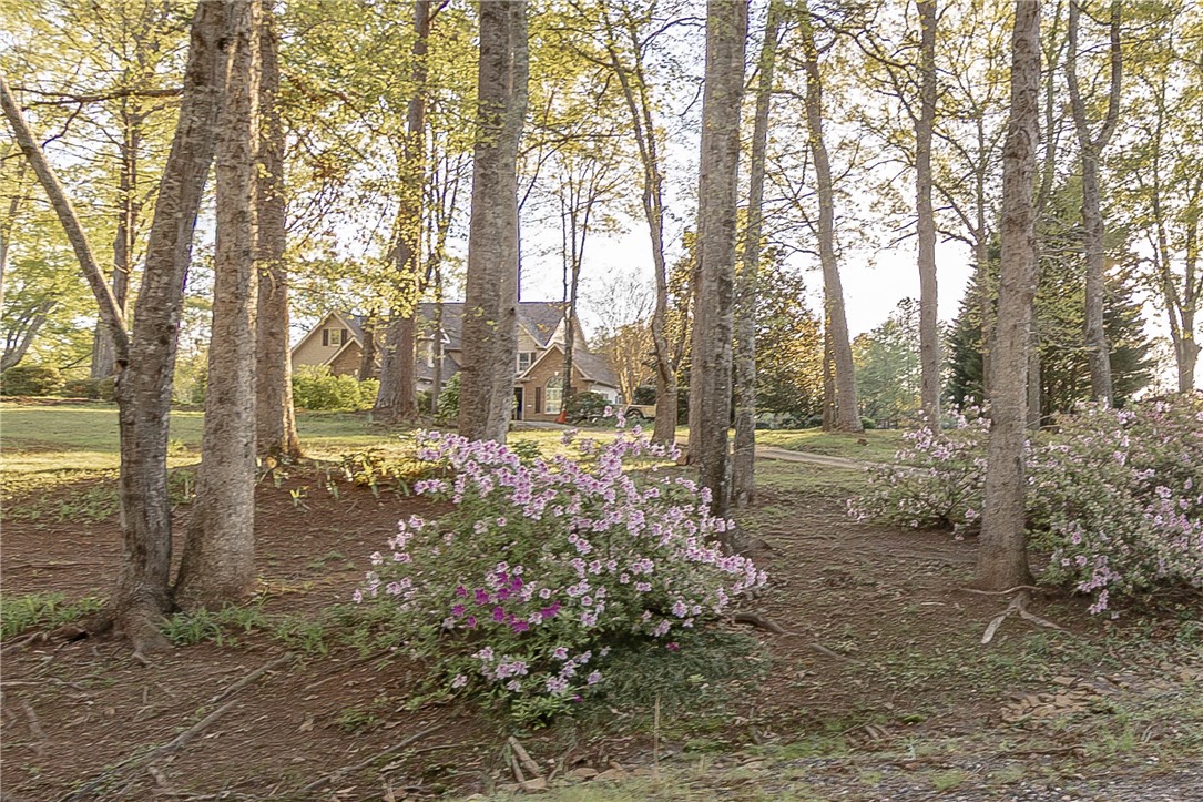 104 Bellewood Drive, Easley, South Carolina image 41