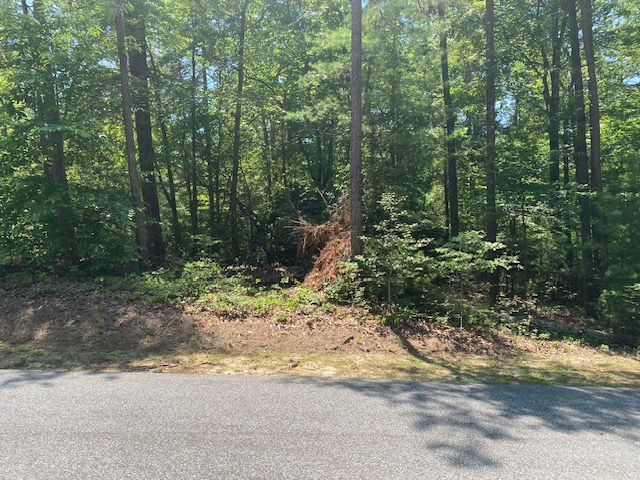 Lot 36 Turtlehead Drive, Salem, South Carolina image 8