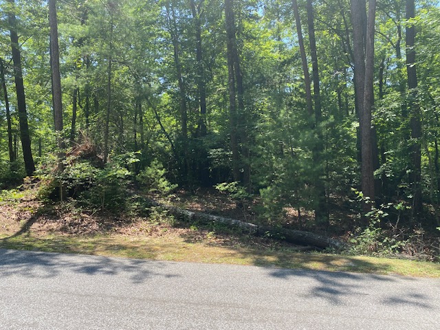 Lot 36 Turtlehead Drive, Salem, South Carolina image 9