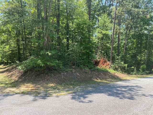 Lot 36 Turtlehead Drive, Salem, South Carolina image 1