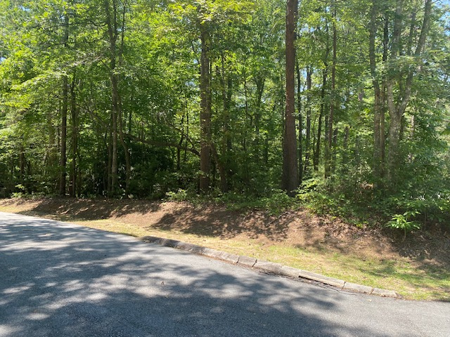Lot 36 Turtlehead Drive, Salem, South Carolina image 7
