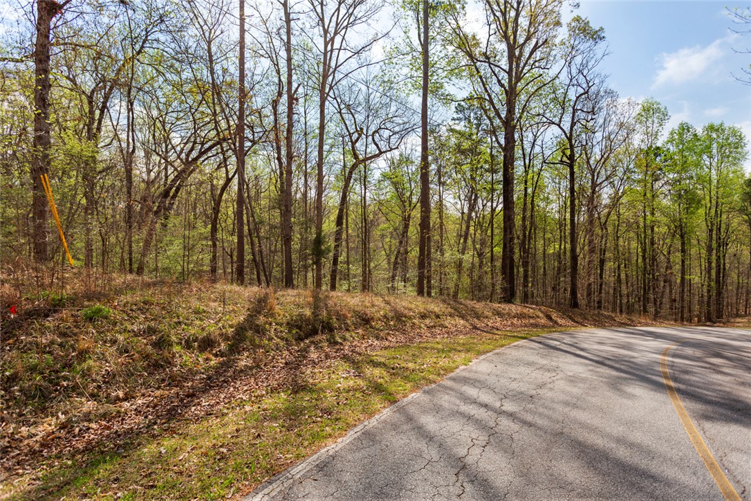 400 S Foxglove Road, Westminster, South Carolina image 6