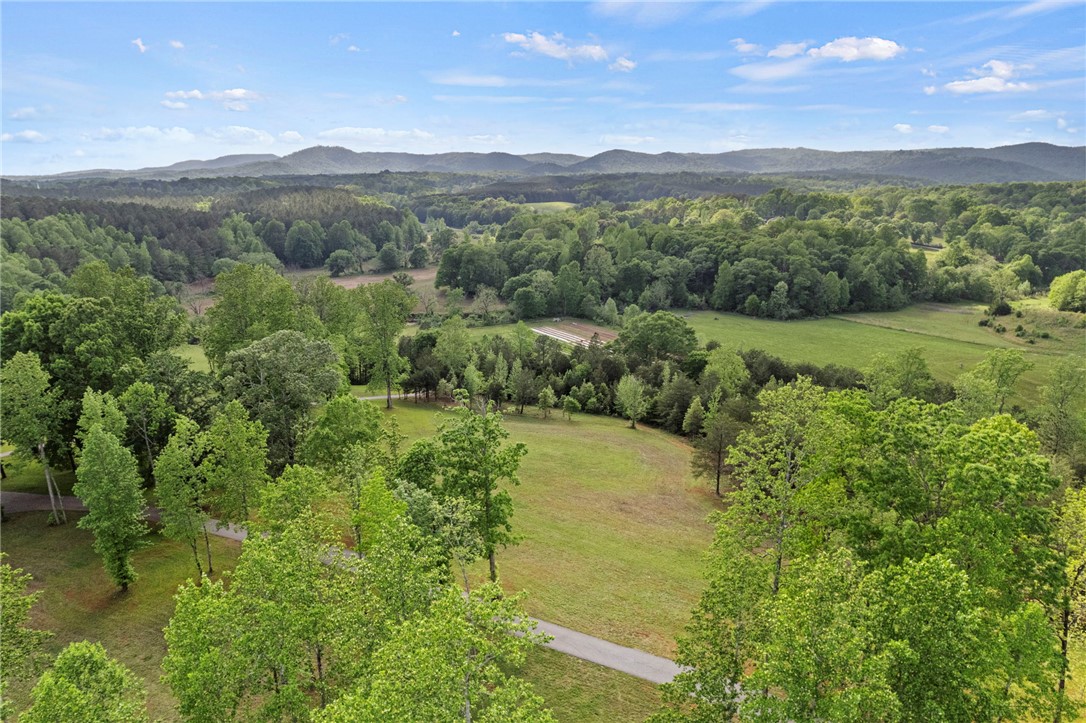 199 Leaf Shadow Lane, Walhalla, South Carolina image 41