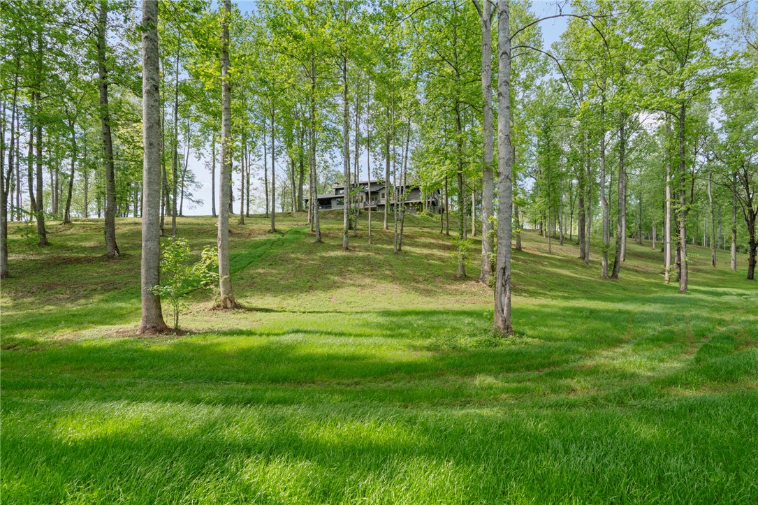 199 Leaf Shadow Lane, Walhalla, South Carolina image 38