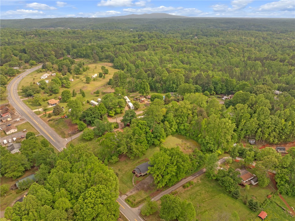 3507 Greer Greer Highway, Marietta, South Carolina image 26