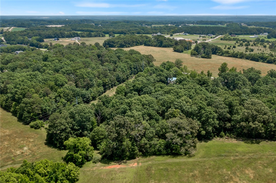 859 Eastview Drive, Pendleton, South Carolina image 6