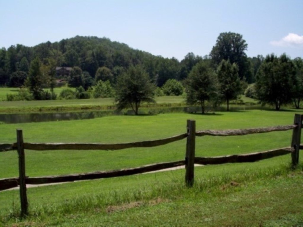 117 Hambys Way, Pickens, South Carolina image 35