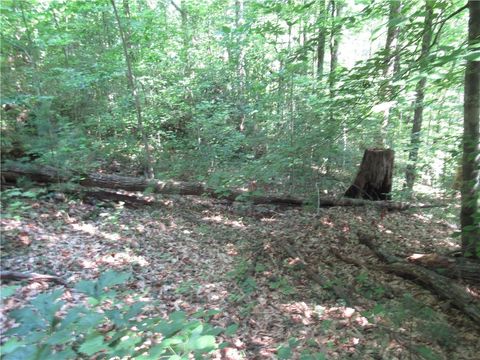 Vacant Land For Sale - 00 Gauley Falls Road<br/> Pickens, SC 29671