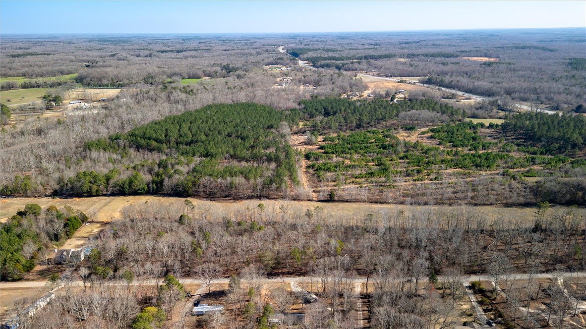 Broken Arrow Drive, Pelzer, South Carolina image 2