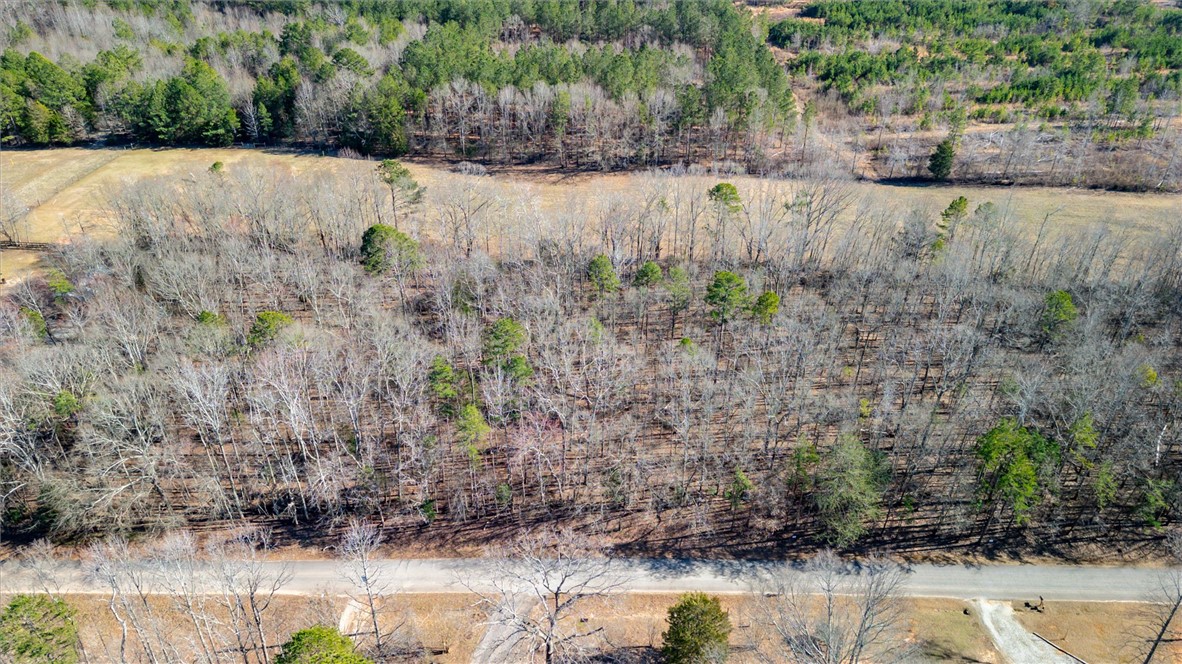 Broken Arrow Drive, Pelzer, South Carolina image 4