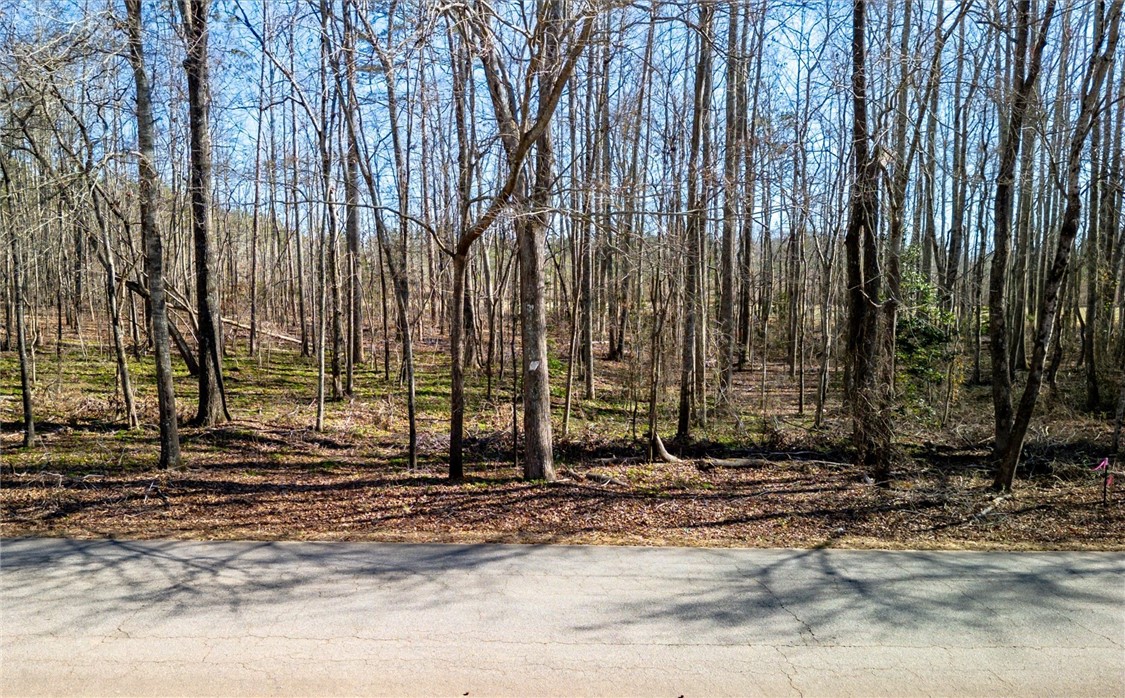 Broken Arrow Drive, Pelzer, South Carolina image 1