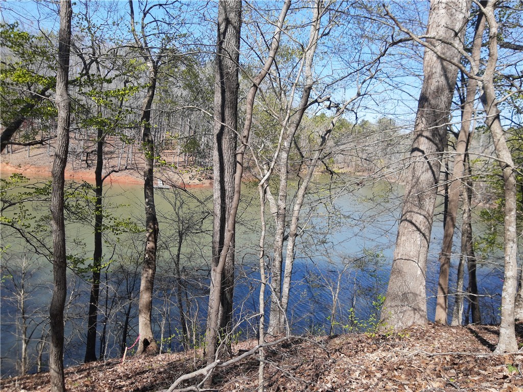 Lot 6 Lost Forest Drive, Westminster, South Carolina image 14