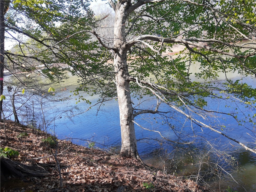 Lot 6 Lost Forest Drive, Westminster, South Carolina image 10