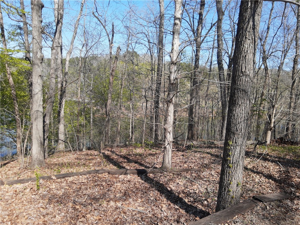 Lot 6 Lost Forest Drive, Westminster, South Carolina image 18