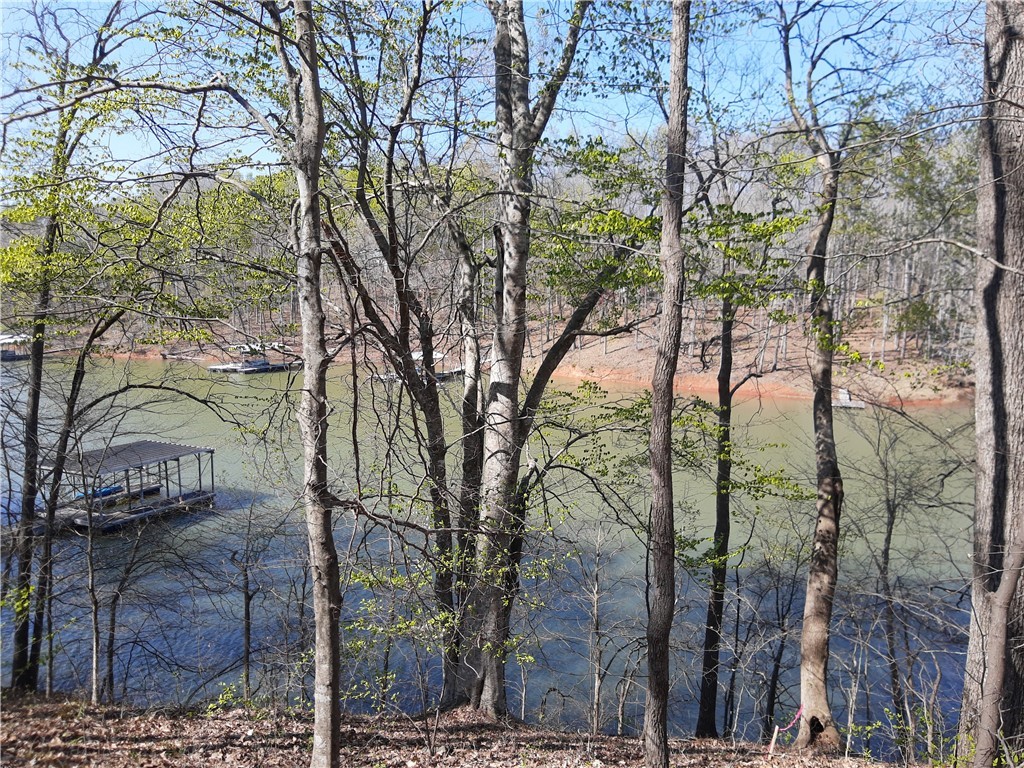 Lot 6 Lost Forest Drive, Westminster, South Carolina image 12