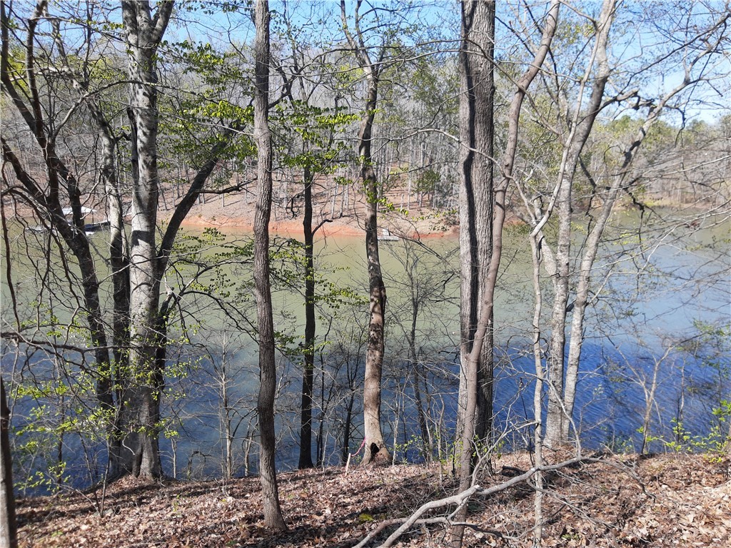 Lot 6 Lost Forest Drive, Westminster, South Carolina image 13