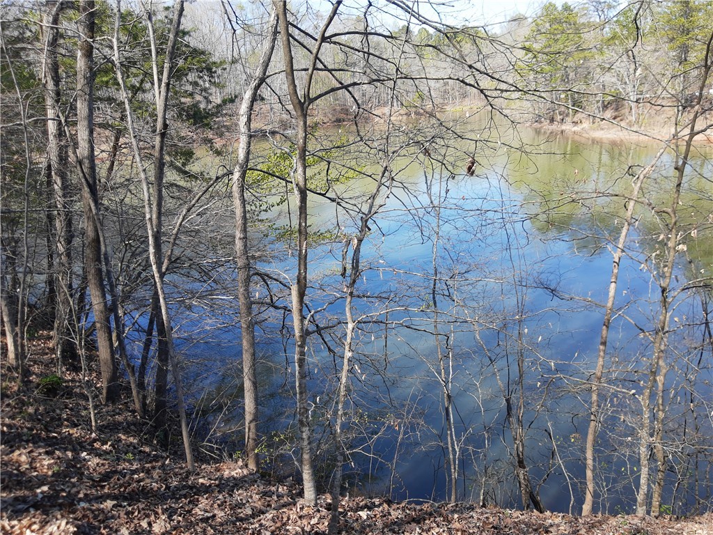 Lot 6 Lost Forest Drive, Westminster, South Carolina image 4