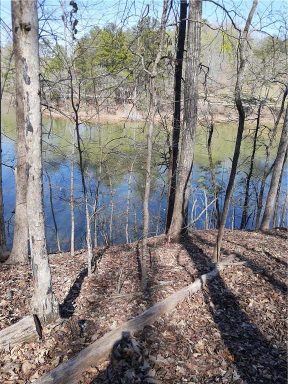 Lot 6 Lost Forest Drive, Westminster, South Carolina image 7