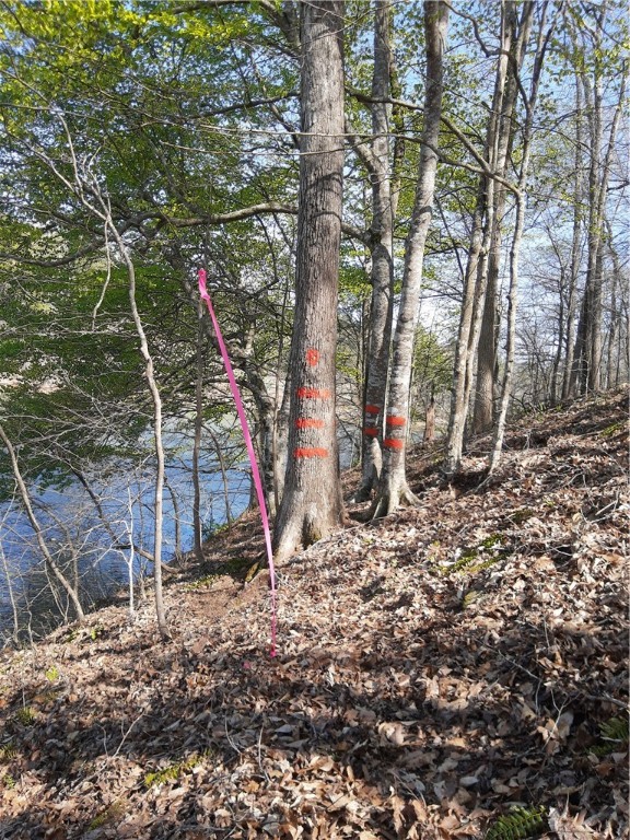 Lot 6 Lost Forest Drive, Westminster, South Carolina image 15