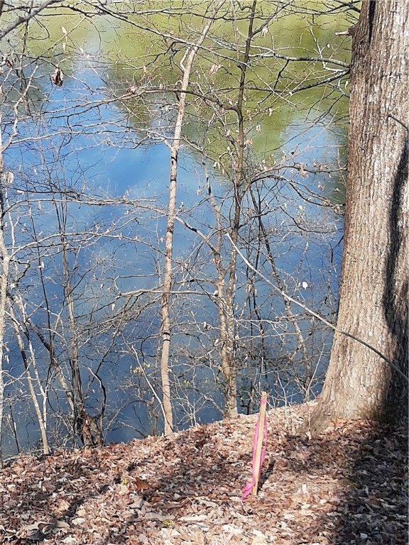 Lot 6 Lost Forest Drive, Westminster, South Carolina image 6